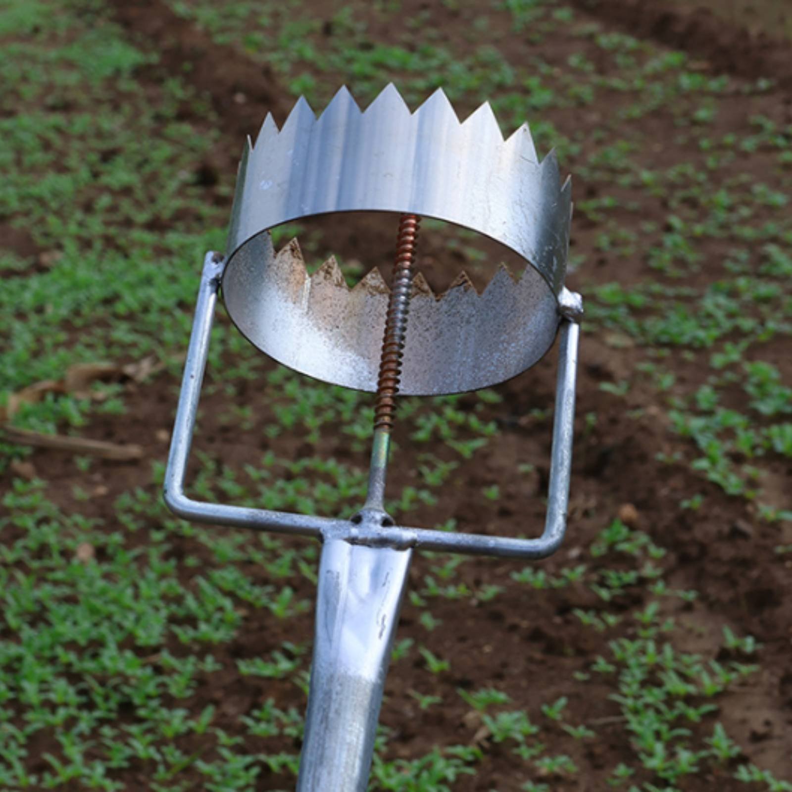 Greenhouse Plastic Film - Mulch Film Hole Puncher Stainless Metal