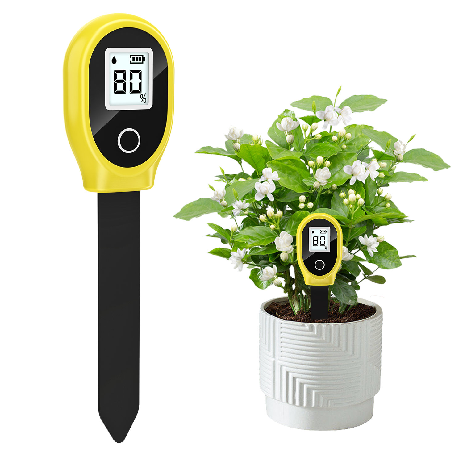Plant Growth Regulator - Soil Moisture Sensor Monitor Plants Moist