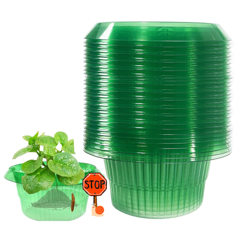5-25Pcs Plants Slug Protection – Vegetable Transplanter Bewertung und Preis
