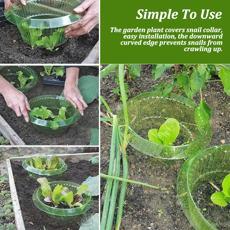 5-25Pcs Plants Slug Protection – Vegetable Transplanter Bewertung und Preis