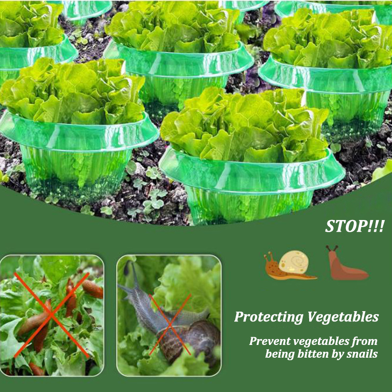 5-25Pcs Plants Slug Protection – Vegetable Transplanter Bewertung und Preis