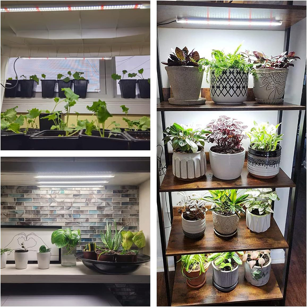 Indoor Led Plant Grow Light Wi – Plant Growth Regulator Bewertung und Preis