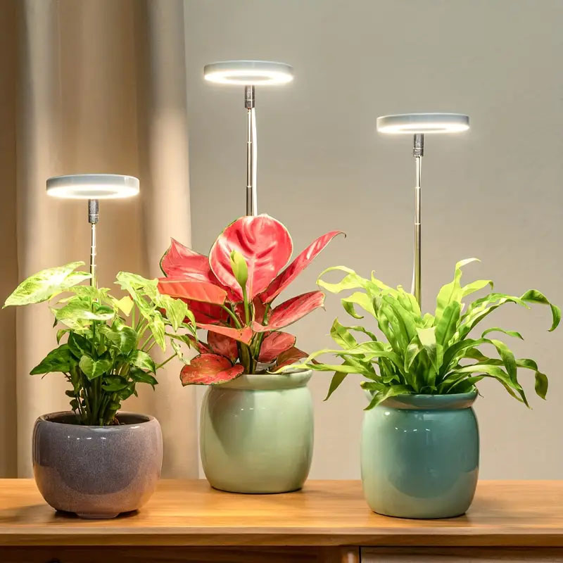 LED Grow Light Full Spectrum P – Plant Growth Regulator Bewertung und Preis