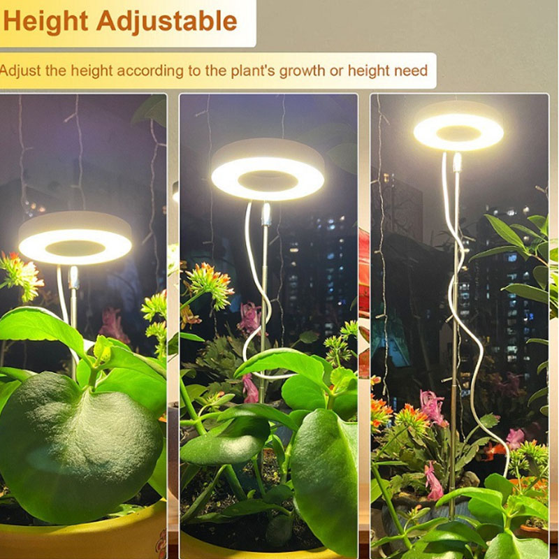 LED Grow Light Full Spectrum P – Plant Growth Regulator Bewertung und Preis