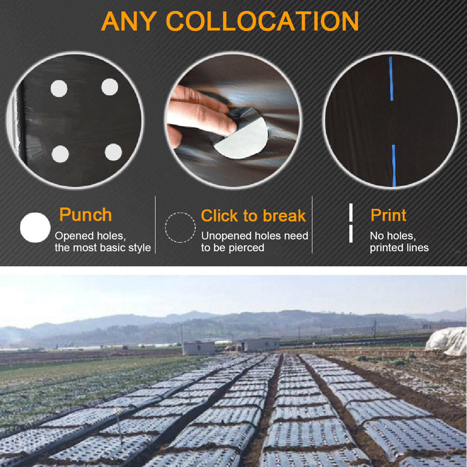 PE Perforated Mulch Film Farm  – Greenhouse Plastic Film Bewertung und Preis