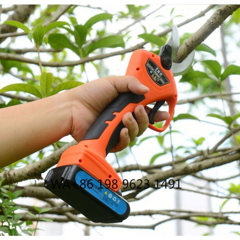 Lightweight cordless garden pr – Agriculture Farming Practices Bewertung und Preis