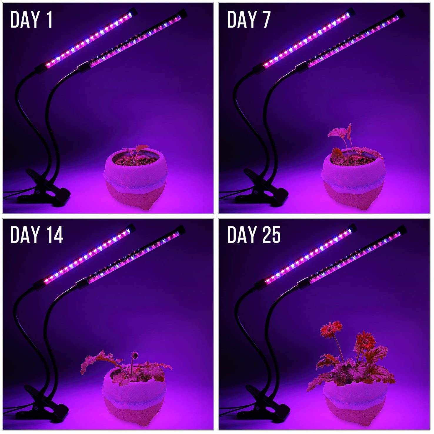 USB LED Plant Grow Light Indoo – Plant Growth Regulator Bewertung und Preis