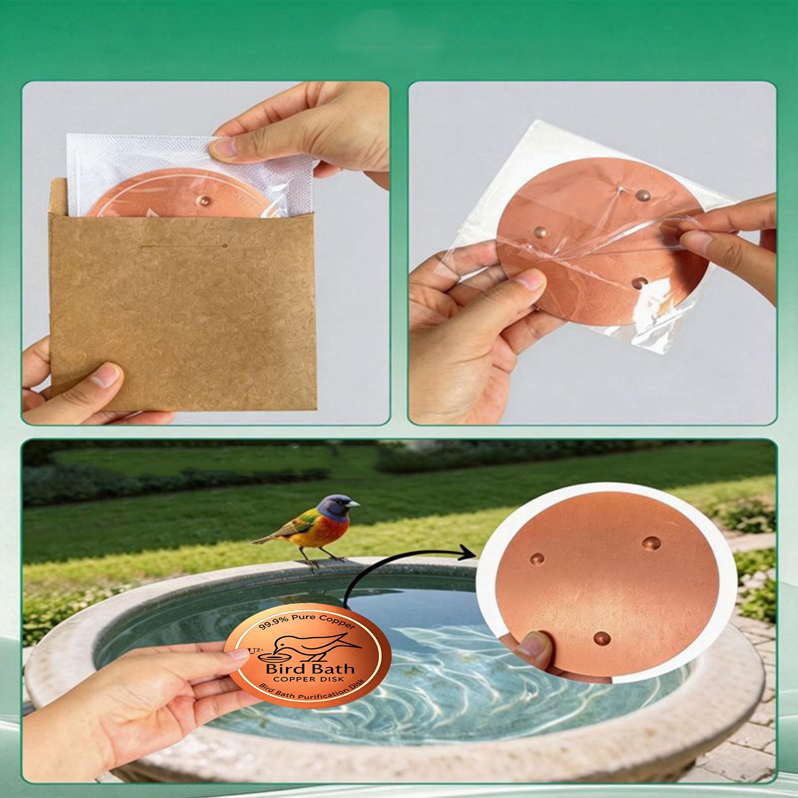 Bird Bath Copper Disk 0.6mm Th – Farming A Bewertung und Preis