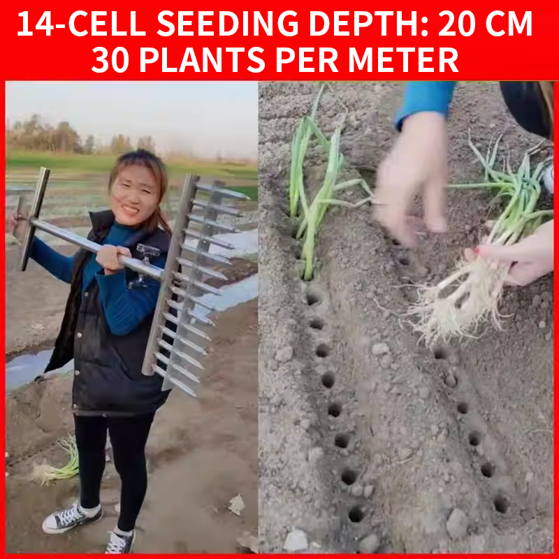 Onion Planter, Rice Transplant – Vegetable Transplanter Bewertung und Preis