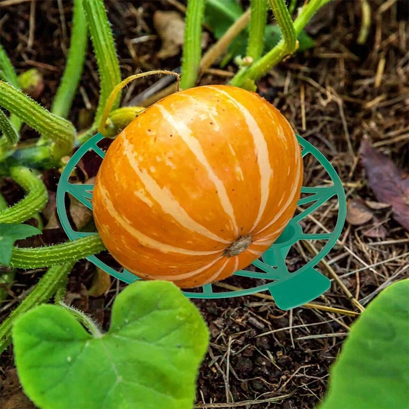 Watermelon Support Greenhouse  – Greenhouse Plastic Film Bewertung und Preis