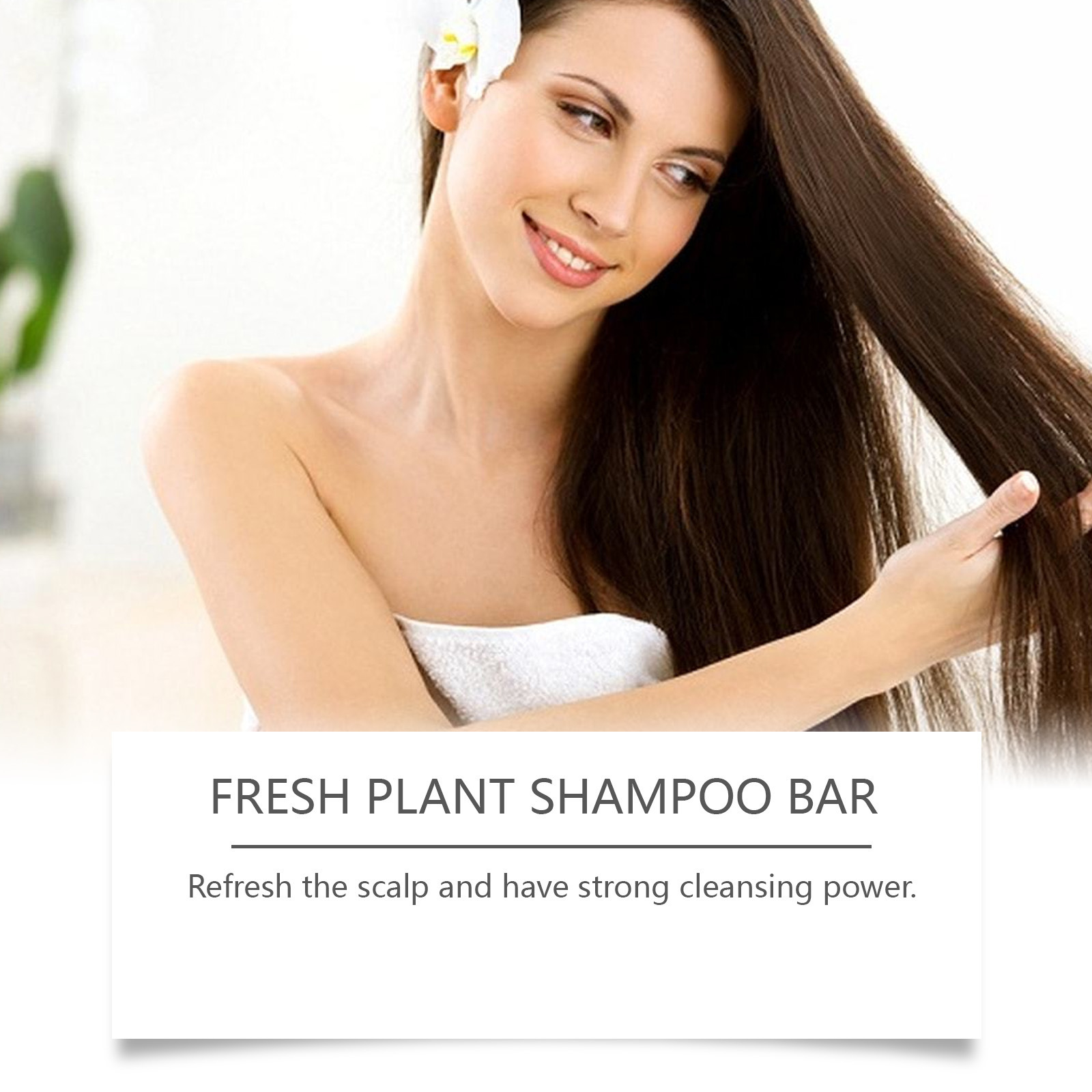 Rosemary Shampoo Bar Anti Hair – Plant Growth Regulator Bewertung und Preis