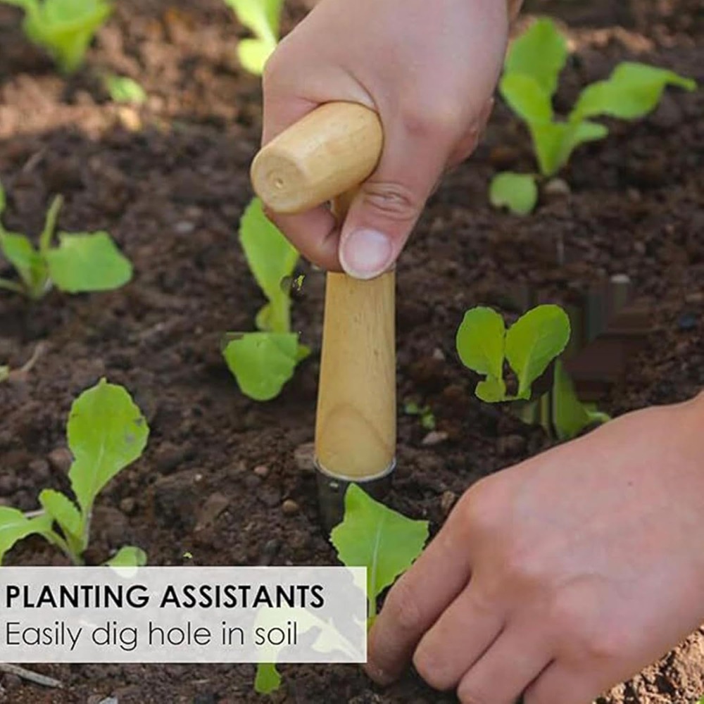 Vegetable Garden Seedling Tran – Vegetable Transplanter Bewertung und Preis