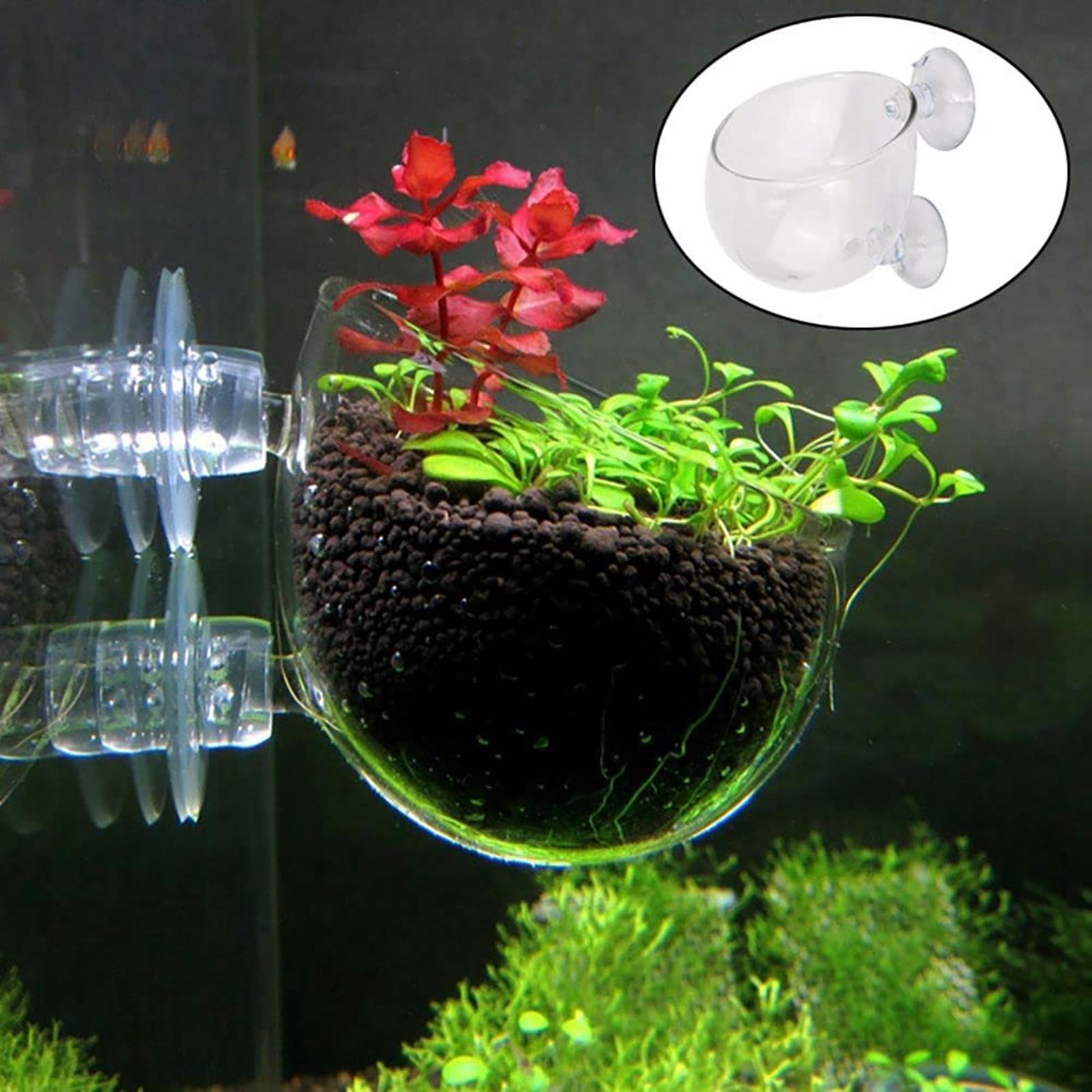 Aquatic Plant Pot Clear Acryli – Plant Growth Regulator Bewertung und Preis