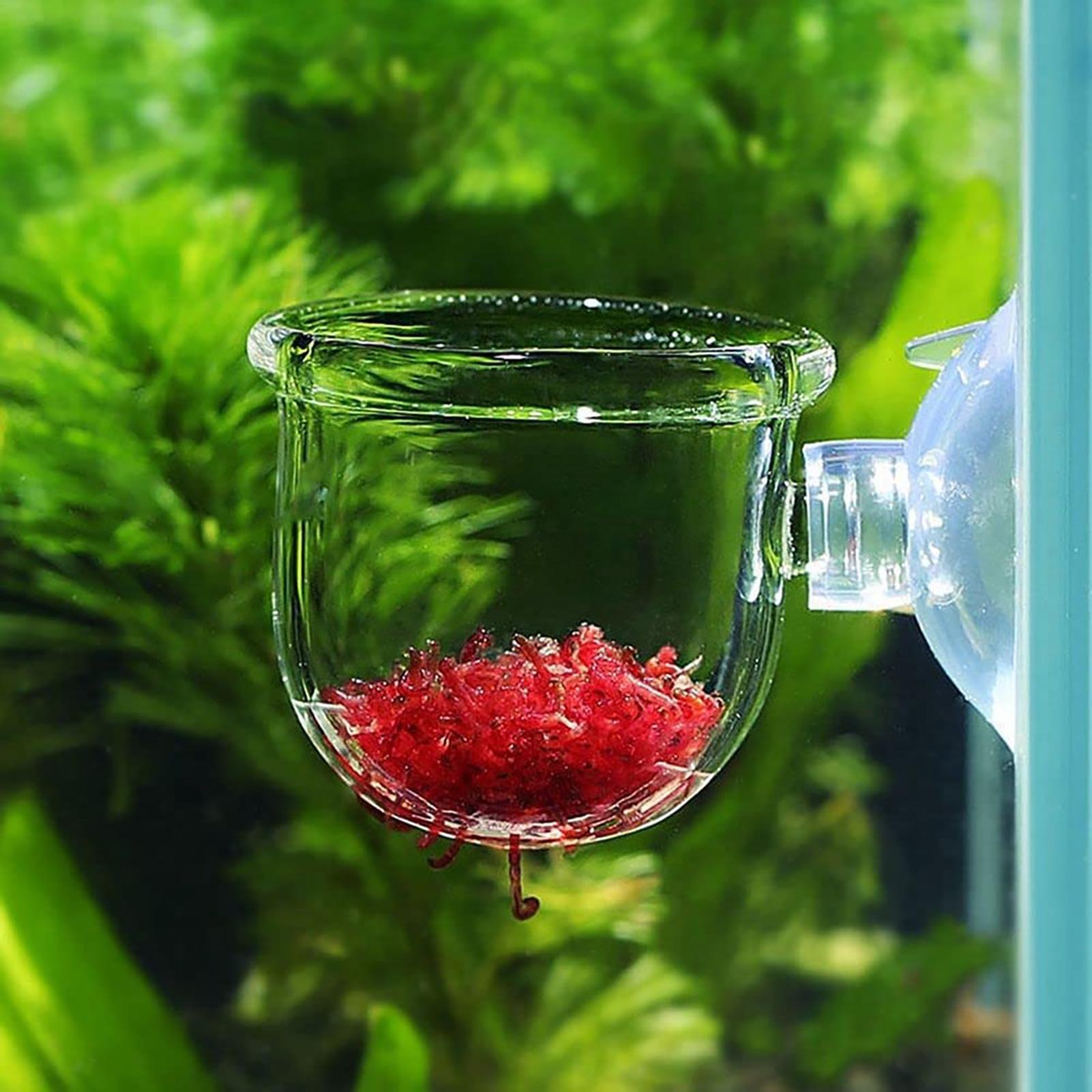 Aquatic Plant Pot Clear Acryli – Plant Growth Regulator Bewertung und Preis