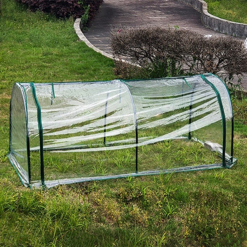 Transparent Mini Plant Greenho – Greenhouse Plastic Film Bewertung und Preis