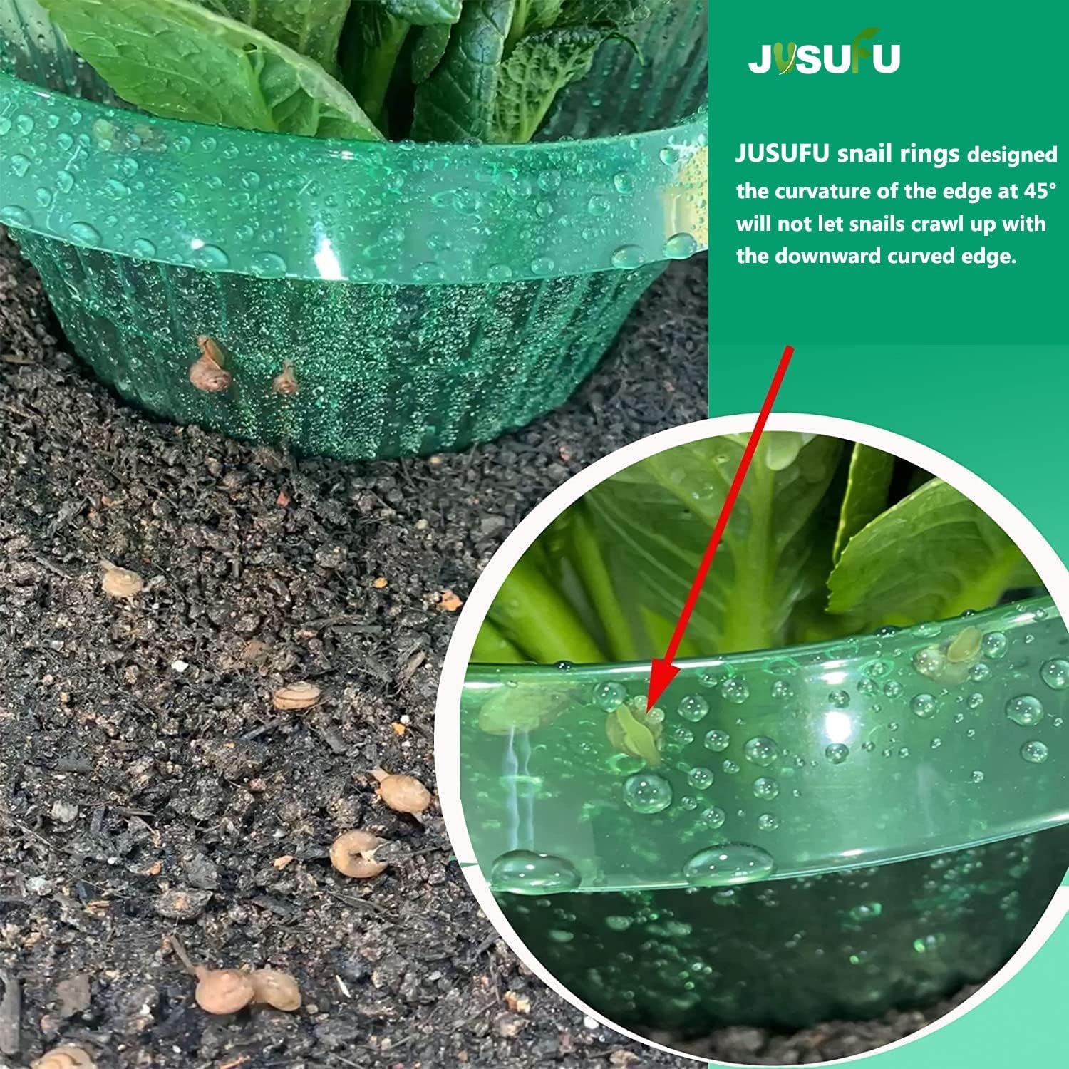 1/30pcs Plants Slug Protection – Vegetable Transplanter Bewertung und Preis