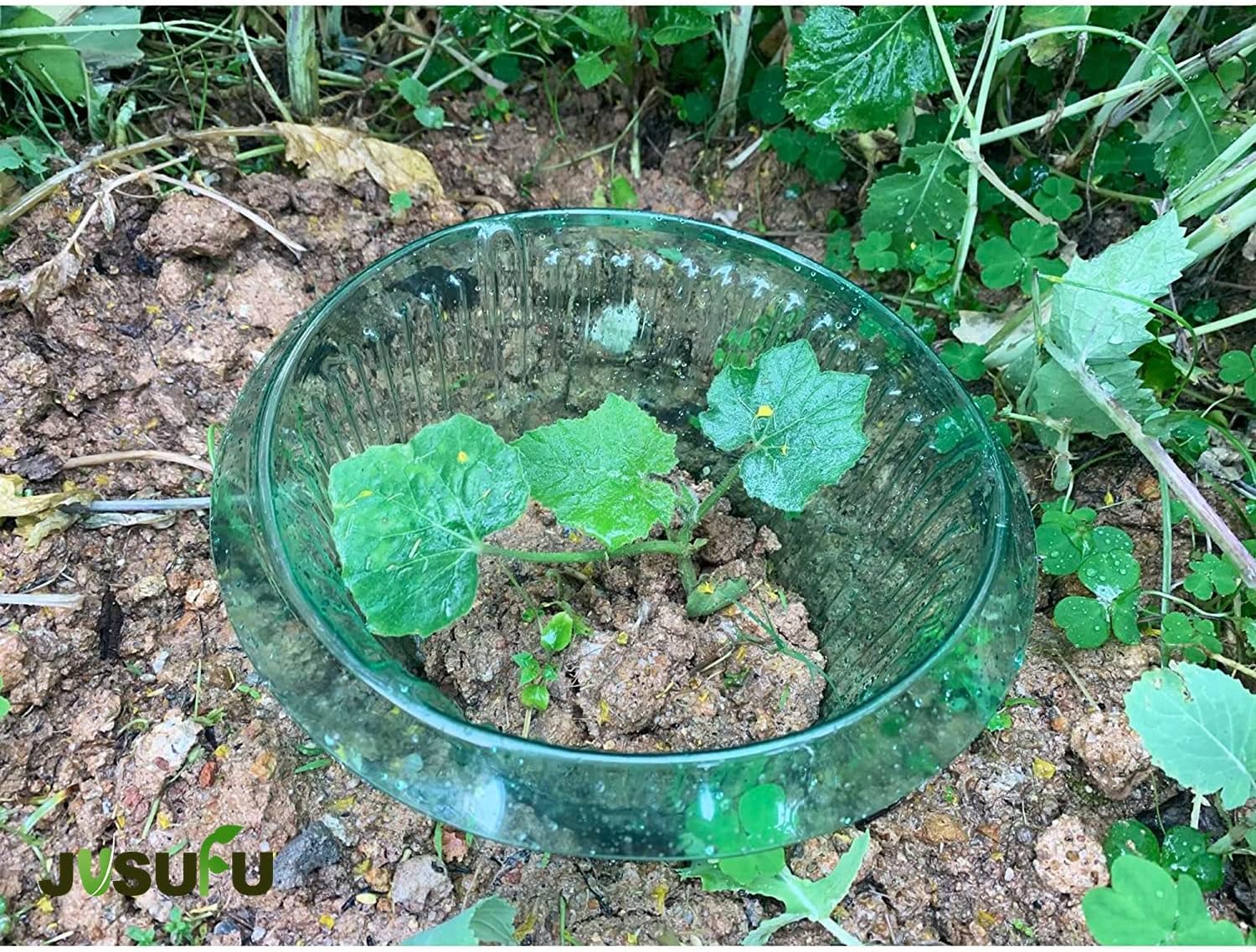 1/30pcs Plants Slug Protection – Vegetable Transplanter Bewertung und Preis