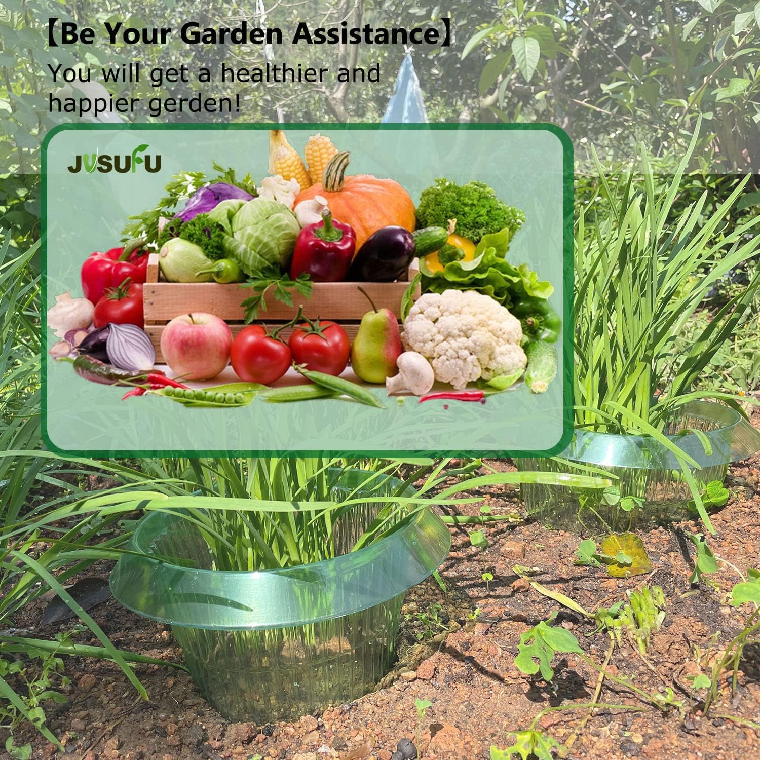 1/30pcs Plants Slug Protection – Vegetable Transplanter Bewertung und Preis