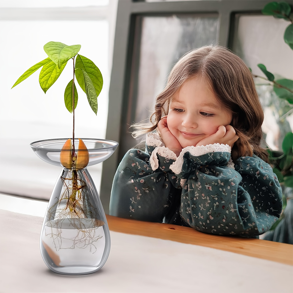 Avocado Seed Starter Vase Tran – Plant Growth Regulator Bewertung und Preis