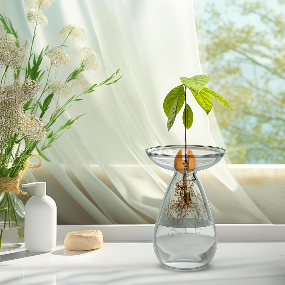 Avocado Seed Starter Vase Tran – Plant Growth Regulator Bewertung und Preis