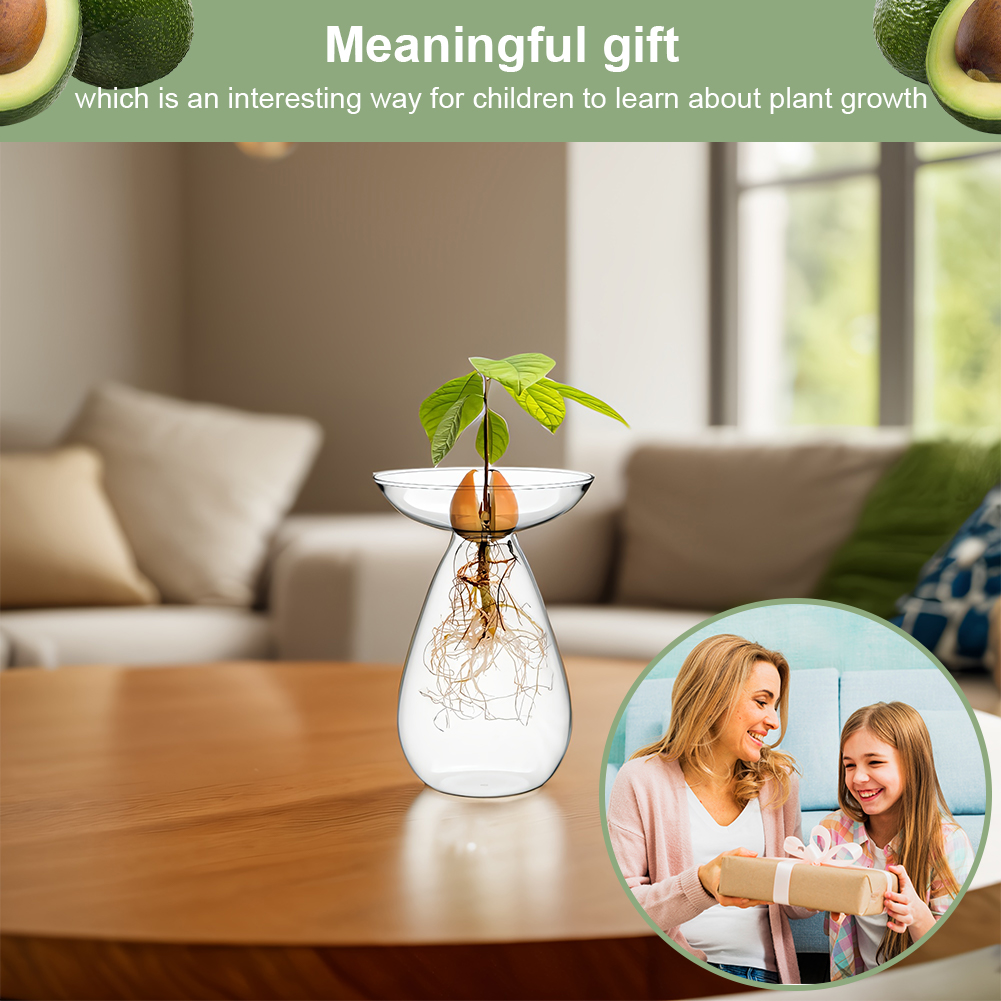 Avocado Seed Starter Vase Tran – Plant Growth Regulator Bewertung und Preis