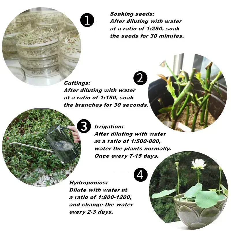10g Quickly Rooting Powder Hor – Plant Growth Regulator Bewertung und Preis