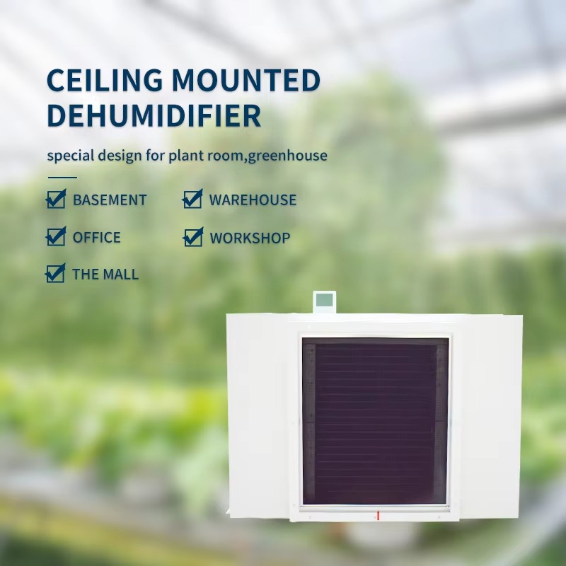 Large 480L Air Dehumidifier fo – Farming A Bewertung und Preis