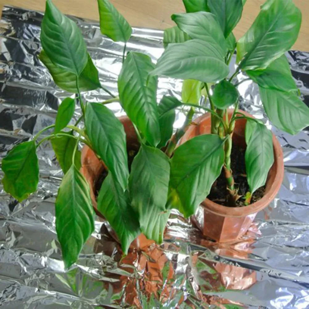 PETP Reflective Film Increase  – Greenhouse Plastic Film Bewertung und Preis