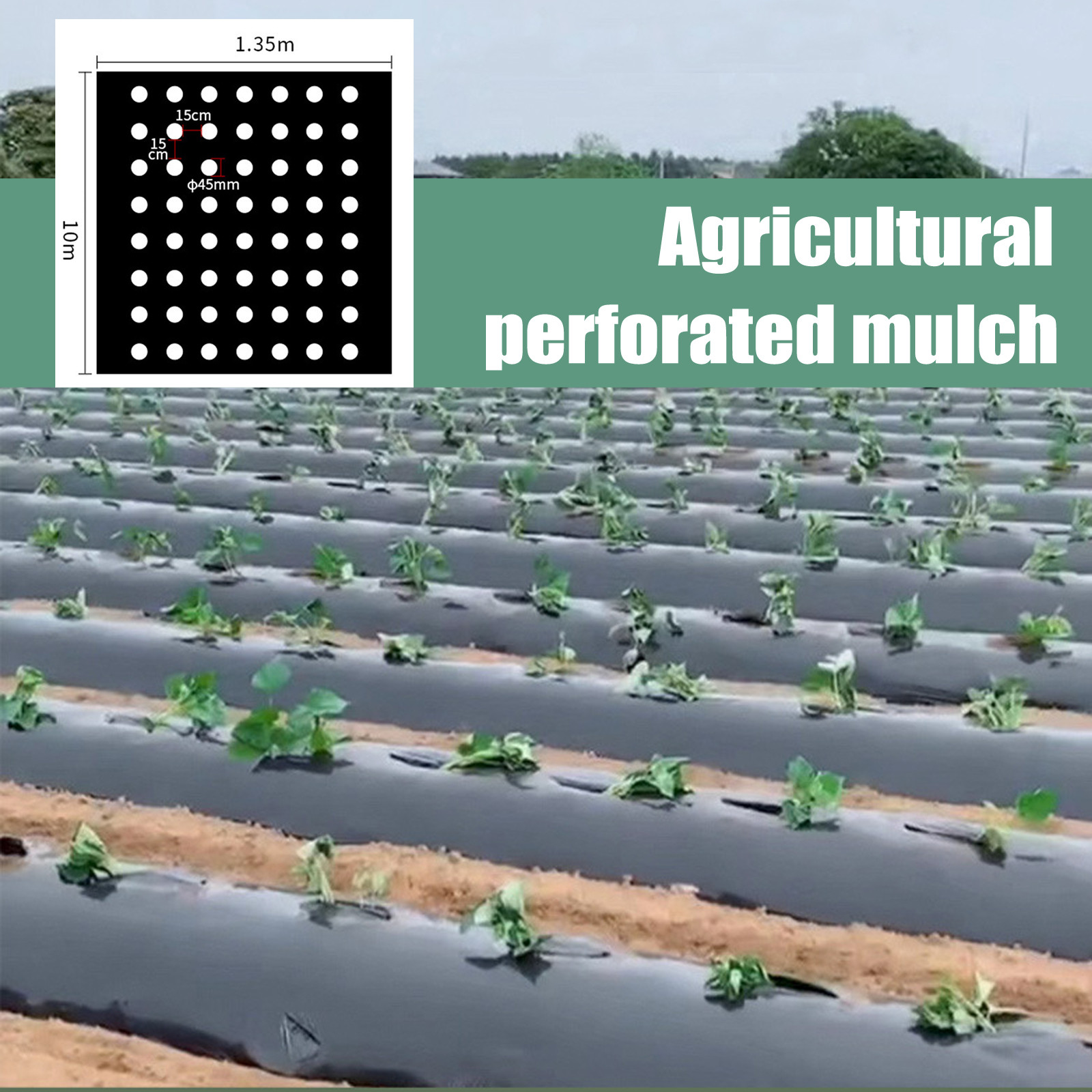 PE Perforated Mulch Film Farm  – Greenhouse Plastic Film Bewertung und Preis