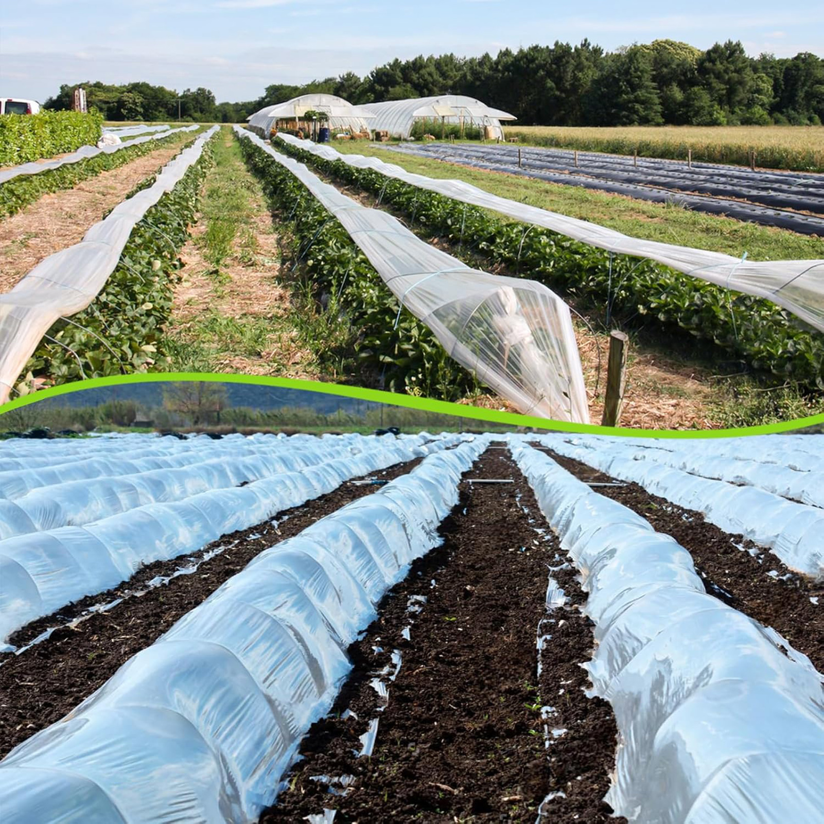 Transparent Greenhouse Plastic – Greenhouse Plastic Film Bewertung und Preis