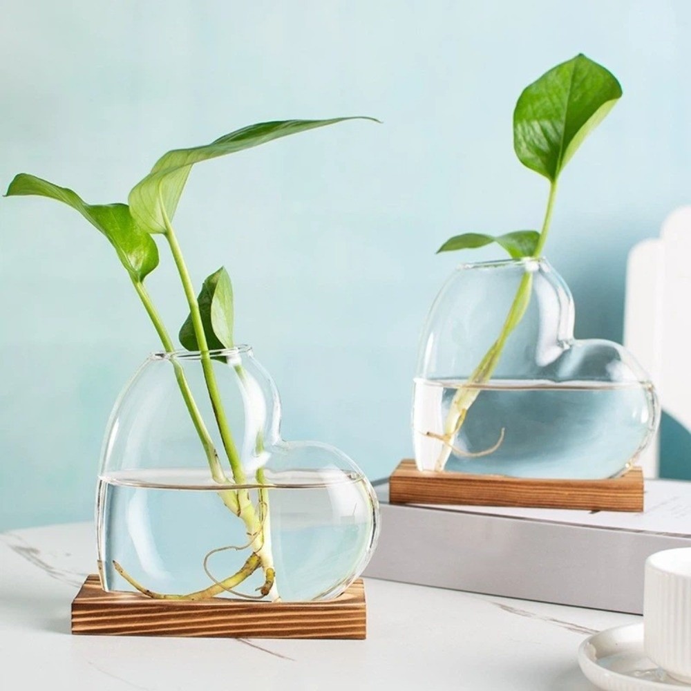 Transparent Hydroponic Glass V – Plant Growth Regulator Bewertung und Preis