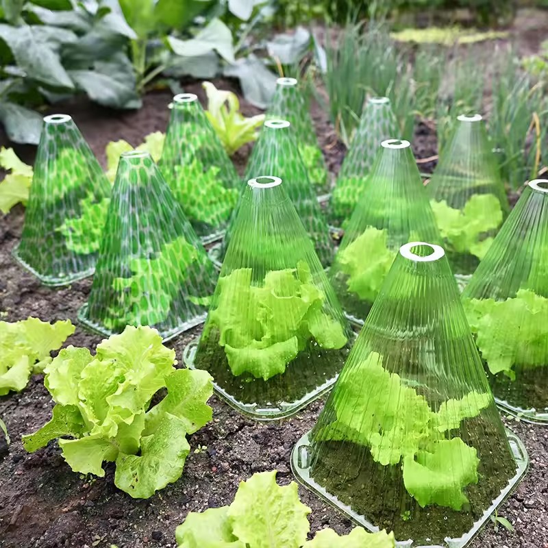 10/20pcs Plant Protective Cove – Greenhouse Plastic Film Bewertung und Preis
